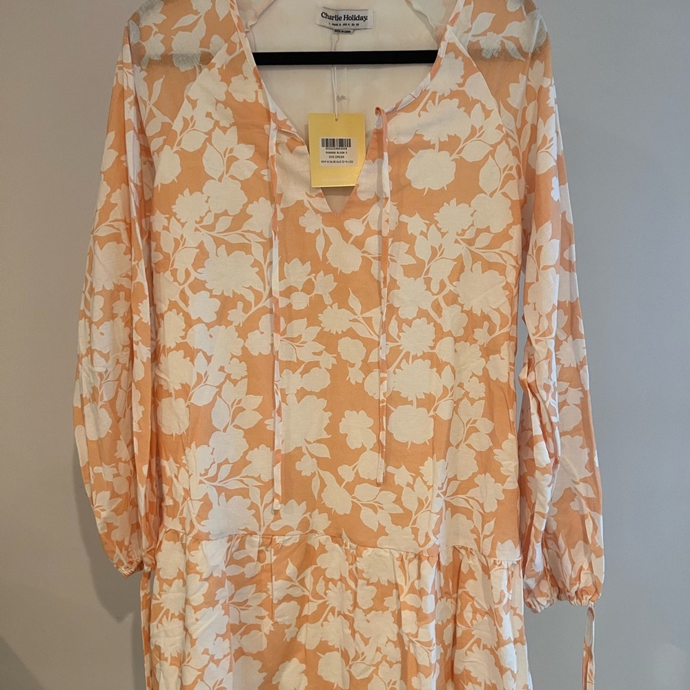 Charlie Holiday Floral Dress, Size 4